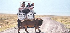 Safari Tanzania by Ebony Tours & Safaris