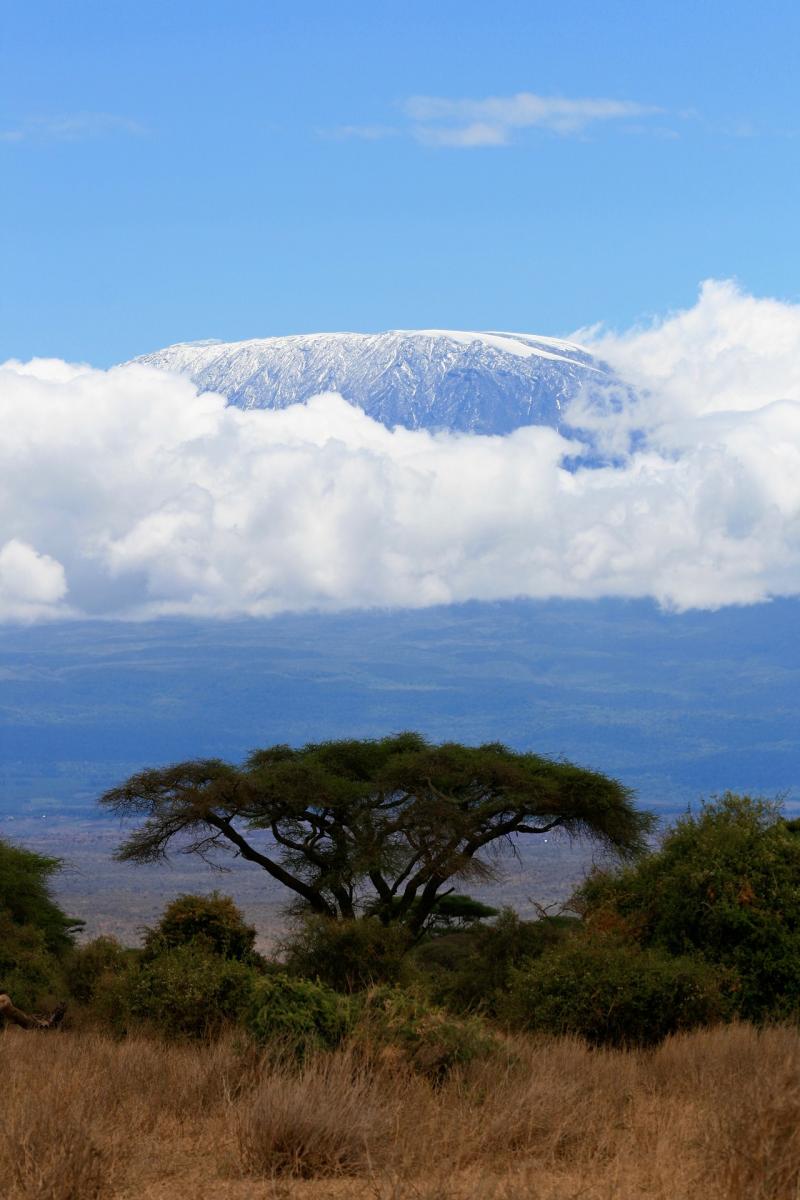 Mt kilimanjaro