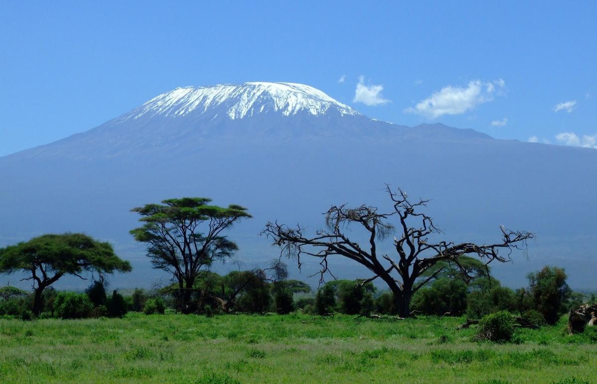 Mt Kilimanjaro